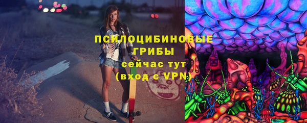 спайс Баксан