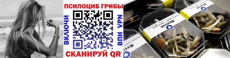 Псилоцибиновые грибы MAGIC MUSHROOMS наркотики Сунжа