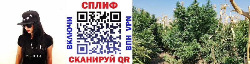 МАРИХУАНА тримм  Сунжа 